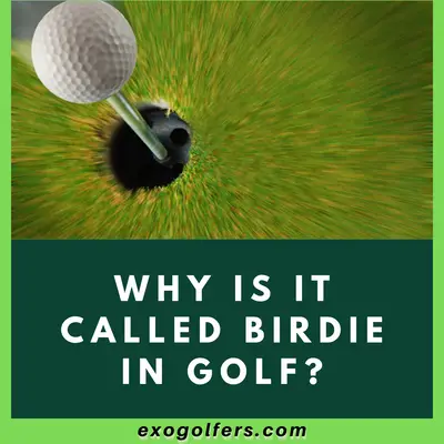 Why Is It Called Birdie In Golf - Find The Truth Behind It